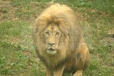 leipzig zoo-01_07_2011_zoo_allgemein_253